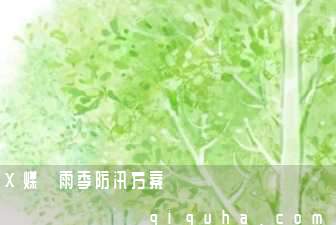X煤礦雨季防汛方案